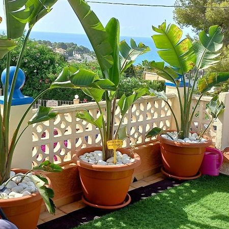 Villa Mimosa Морайра Екстериор снимка
