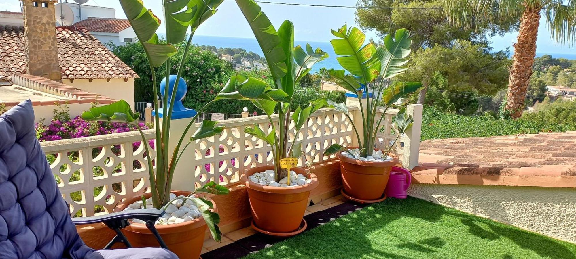 Villa Mimosa Морайра Екстериор снимка